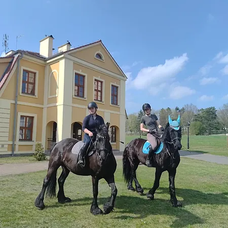 Szálloda Palac W Rymaniu 3*