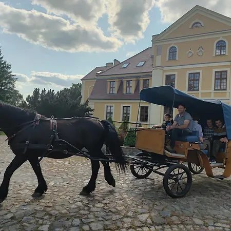Отель Palac W Rymaniu 3*