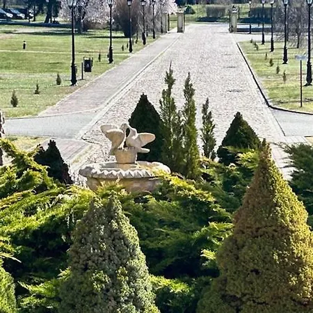 Отель Palac W Rymaniu